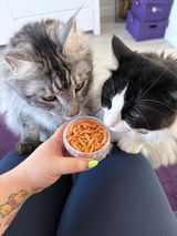 Ozzy Nickel & Mitzy review photo
