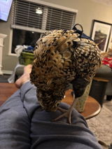 Etsy customer review photo