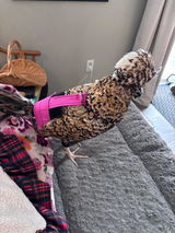 Etsy customer review photo