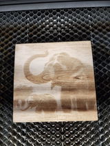 Carrie Cancel review photo
