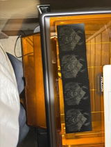 Justin Schwanz review photo