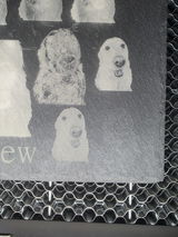 Russell W. review photo