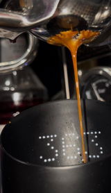 Mozart’s Star review photo