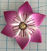 Diann review photo