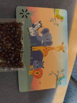 Judy R. review photo