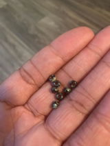 Deena S. review photo