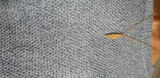 Saida A. review photo