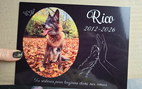 Plaque noire funéraire commémoratifs animal de compagnie avec Photo motif patte et main