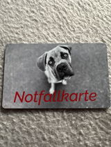 Yvonne P. review photo