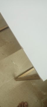 NF review photo