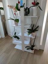 Abbas review photo