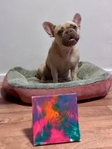 Sarah and Aspen review photo