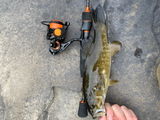 Timothy Rupp review photo