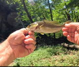 By His Grace Fishing review photo