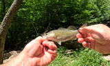 By His Grace Fishing review photo