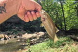 By His Grace Fishing review photo
