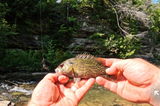 BY HIS GRACE FISHING review photo