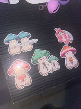 Lyss review photo