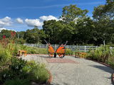 Kim Failon, Fox Hall Pollinator Garden, Richmond, VA review photo