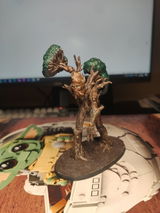 Panagos review photo