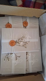 Ana review photo