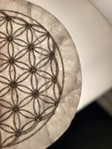 ALAIN DIERAERT review photo