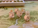 ChipW review photo