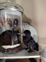 Etsy customer review photo