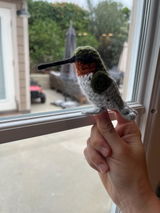 Etsy customer review photo