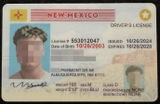 Nic Leite review photo