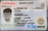 Gus review photo