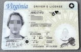 Marcelo F review photo
