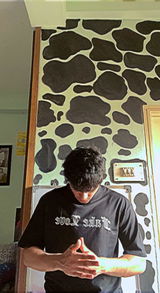 Abhinav Shah review photo