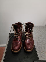 David review photo