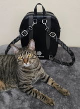 TinyAngel review photo