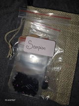 Melissa Warner review photo