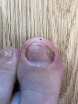 Brandon Gronwoldt review photo