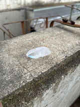 も. review photo
