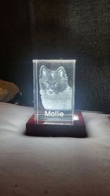 Kenneth Tellier review photo
