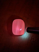 Lynette Rosenberger review photo