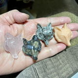 Kristi Clement review photo