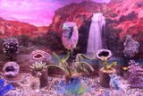 Steven Ross review photo