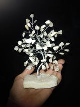 MacKenzie Branham review photo