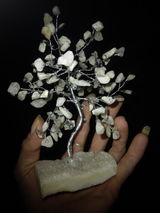 MacKenzie Branham review photo