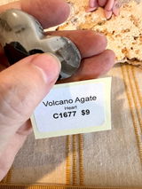 Cindy Griffith-Bennett review photo