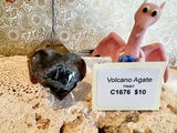 Cindy Griffith-Bennett review photo