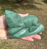 G.Y. review photo