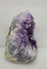 Caley D. review photo