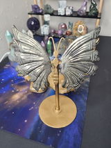 Peyton P. review photo