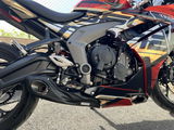 alicia Languin review photo